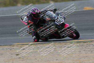 media/Jan-14-2023-SoCal Trackdays (Sat) [[497694156f]]/Turn 11 Inside (950am)/